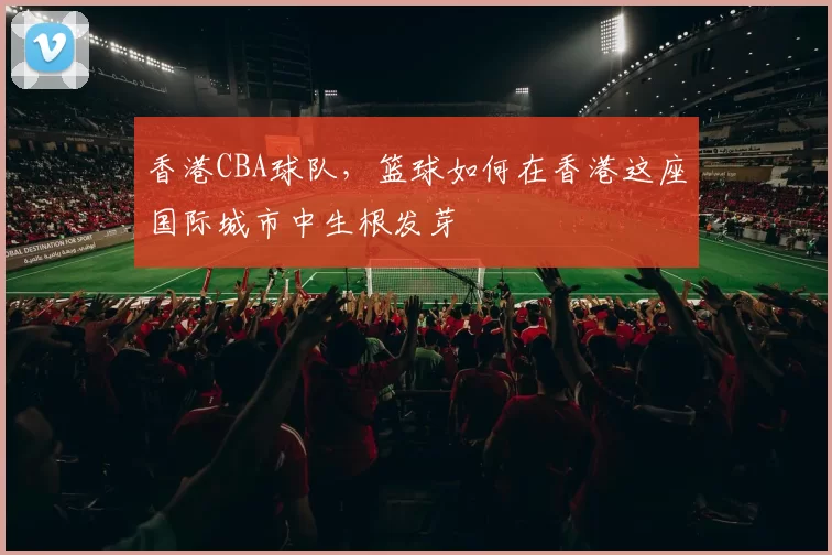 香港CBA球队，篮球如何在香港这座国际城市中生根发芽