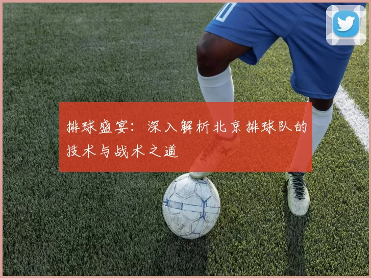 排球盛宴：深入解析北京排球队的技术与战术之道