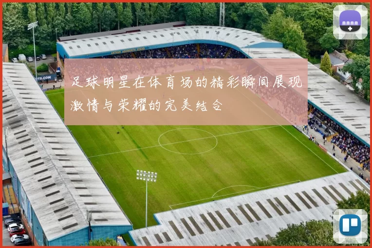 足球明星在体育场的精彩瞬间展现激情与荣耀的完美结合
