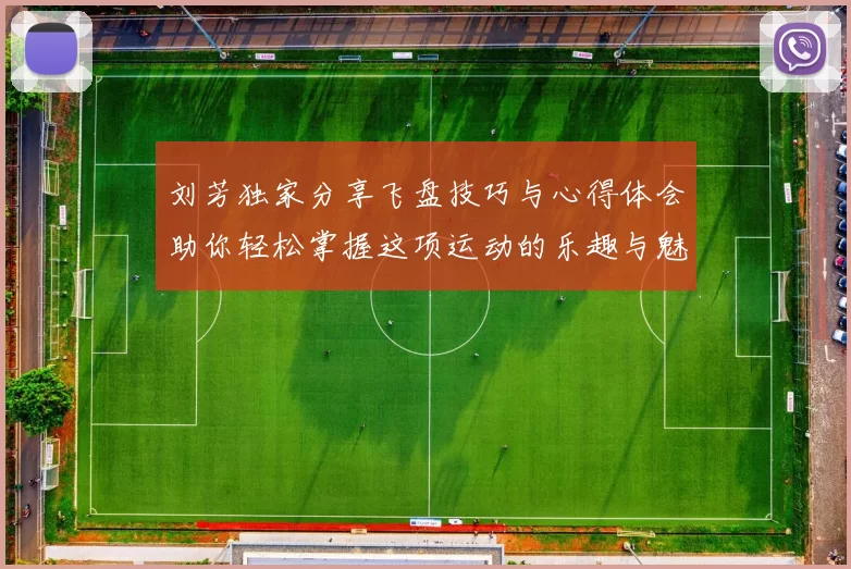 刘芳独家分享飞盘技巧与心得体会助你轻松掌握这项运动的乐趣与魅力