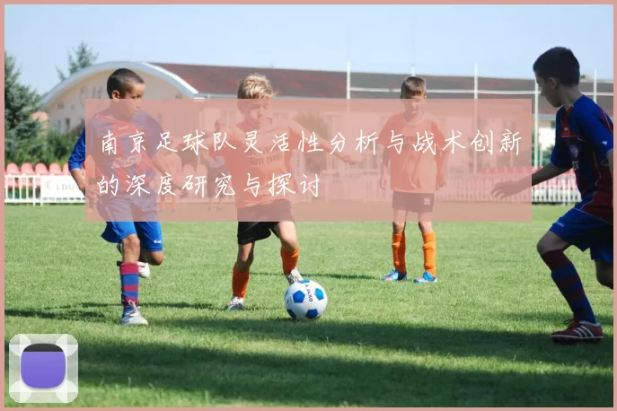 南京足球队灵活性分析与战术创新的深度研究与探讨