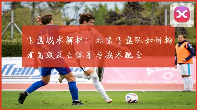飞盘战术解析：北京飞盘队如何构建高效反击体系与战术配合