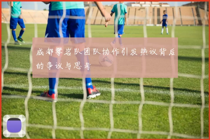 成都攀岩队团队协作引发热议背后的争议与思考