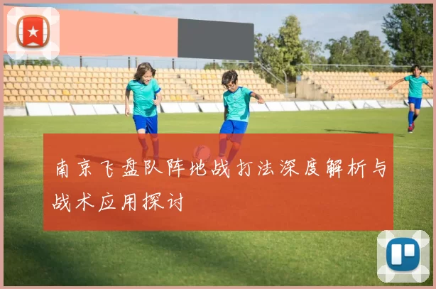 南京飞盘队阵地战打法深度解析与战术应用探讨
