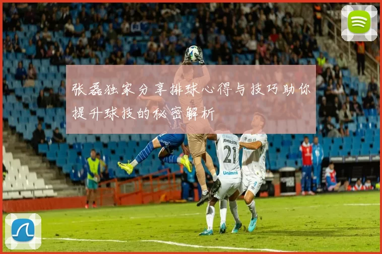 张磊独家分享排球心得与技巧助你提升球技的秘密解析