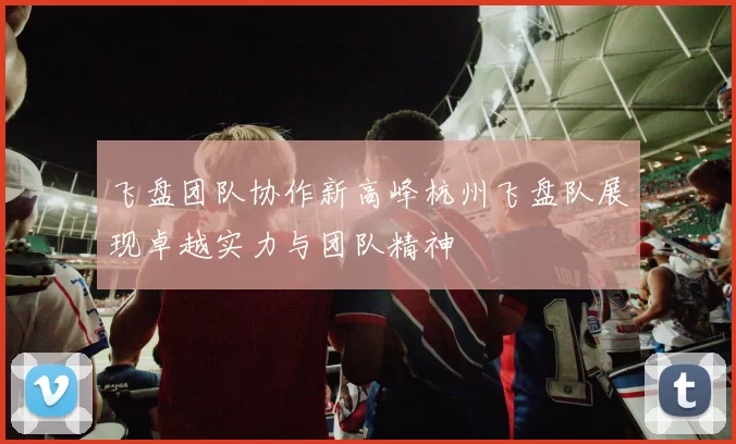 飞盘团队协作新高峰杭州飞盘队展现卓越实力与团队精神