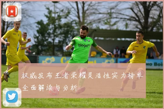 权威发布王者荣耀灵活性实力榜单全面解读与分析